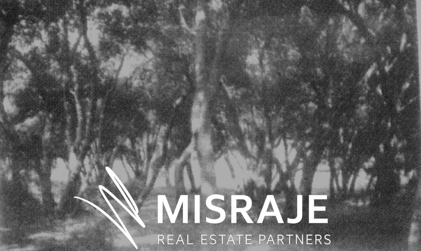 Fryman Road: Fryman Estates (formerly Briarcliff Manor Estates), Studio City.