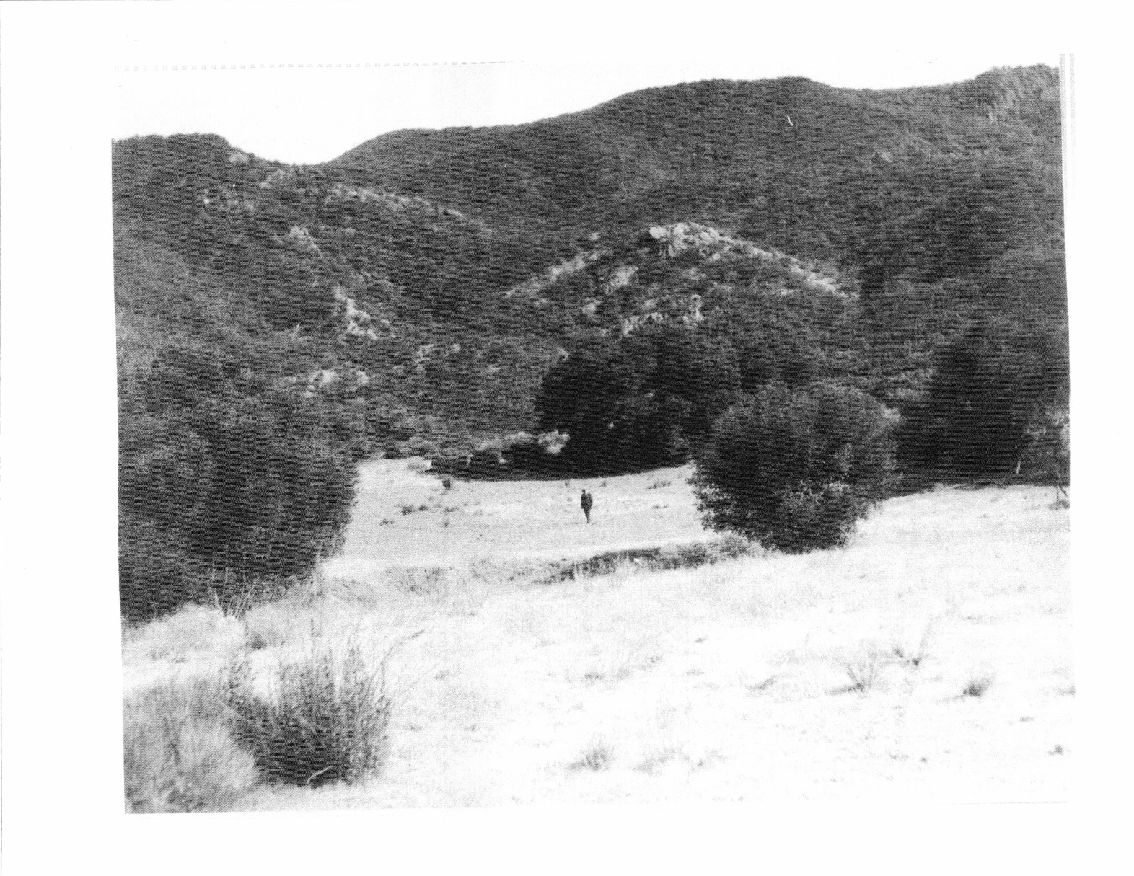 A lone figure standing in the open field at Fryman Ranch.